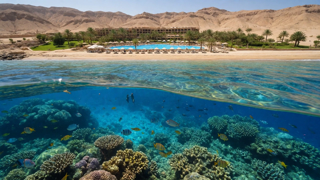Split view of Egyptian beach resort and vibrant coral reef underwater